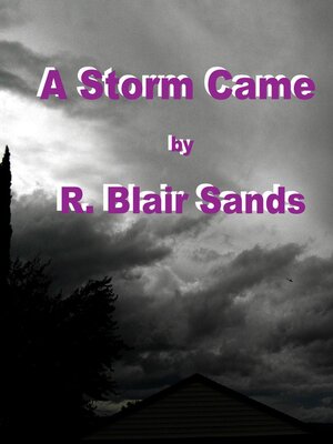 cover image of A Storm Came